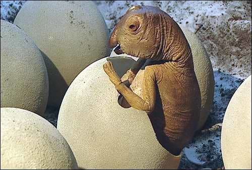 cria_dinosaurio