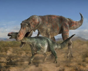 Lee más sobre el artículo ¿Qué comían los dinosaurios?