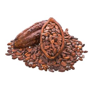 Lee más sobre el artículo El Cacao, Información sobre los Beneficios, Mitos, Origen, Propiedades