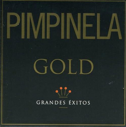 ¡Encuentra la Mejor Selección ​de Productos Pimpinela!