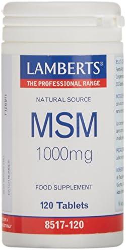Los Mejores Productos de MSM para tu Bienestar