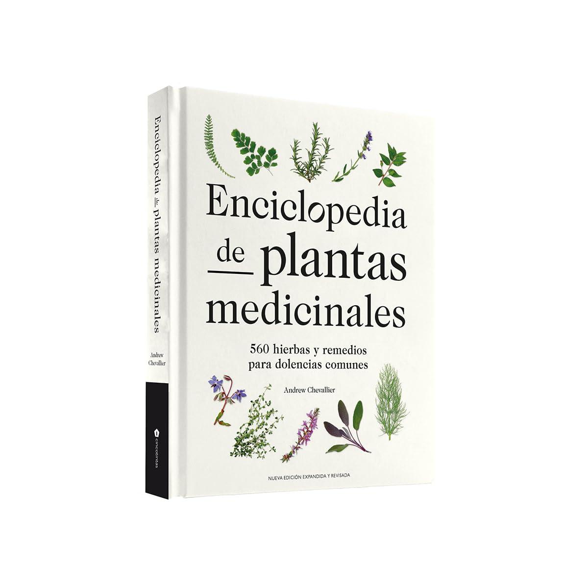 Las mejores hierbas medicinales para tu bienestar