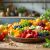 Combinación de alimentos voluminosos sin pautas nutricionales